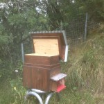 Bienenbeute Schweizermass